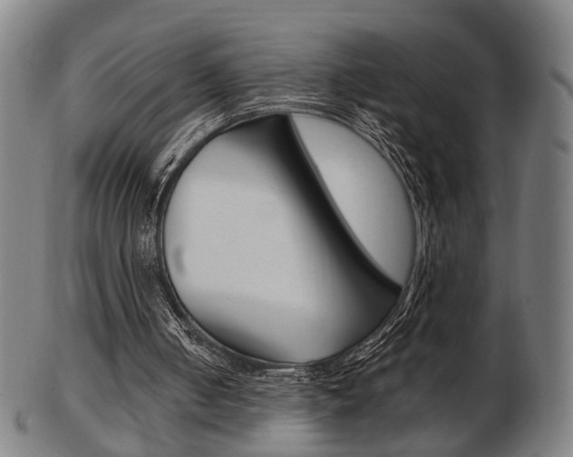 X0000103480050200809120937