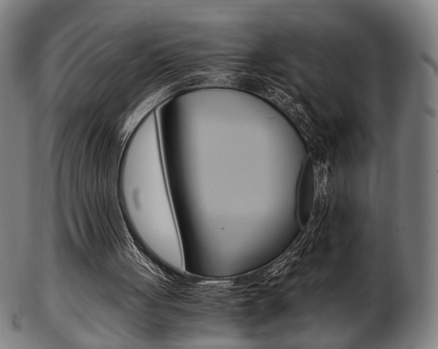 X0000103480051200809120937