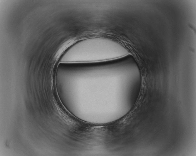 X0000103480054200809120937