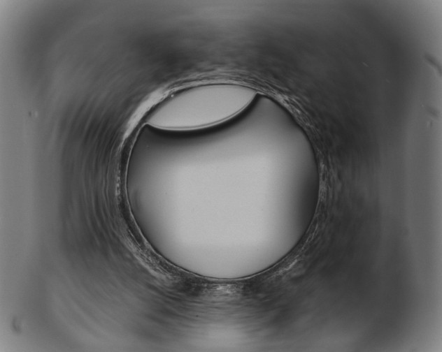 X0000103480056200809120937