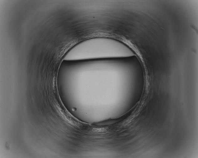 X0000103480057200809120937