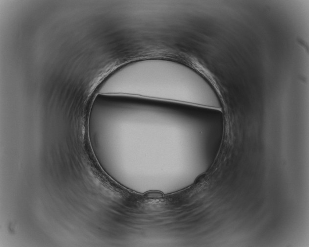 X0000103480059200809120937