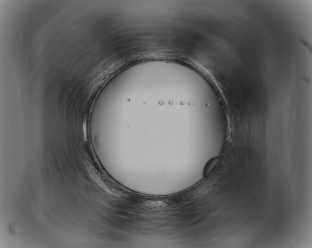 X0000103480061200809120937