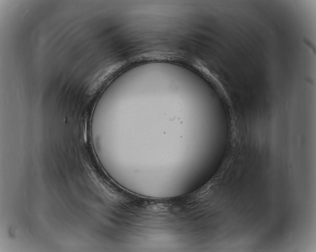 X0000103480062200809120937