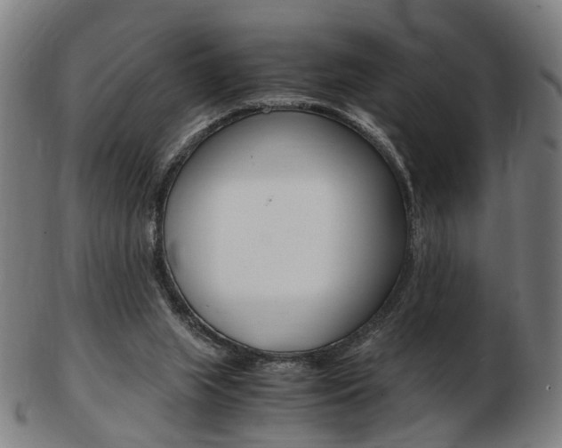 X0000103480063200809120937