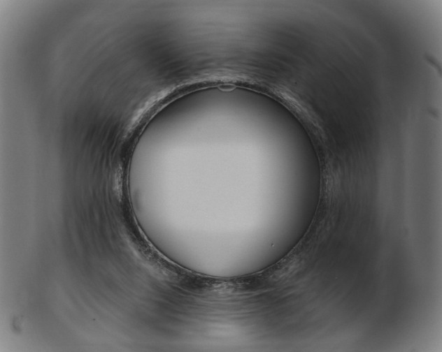 X0000103480064200809120937