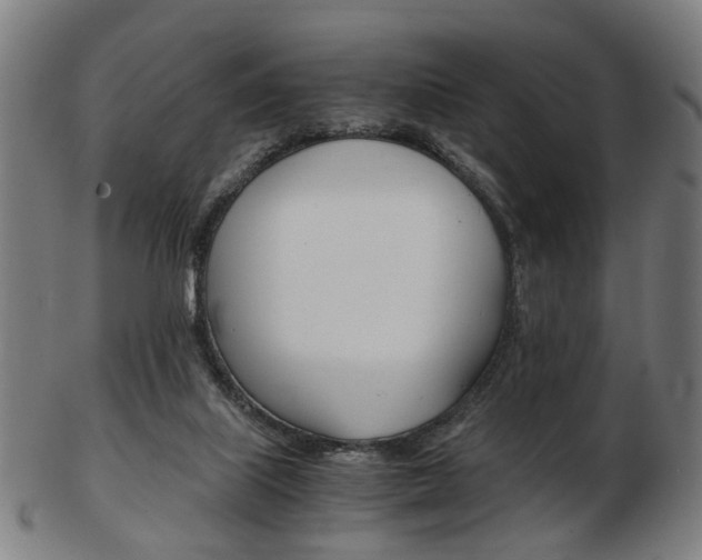 X0000103480067200809120937