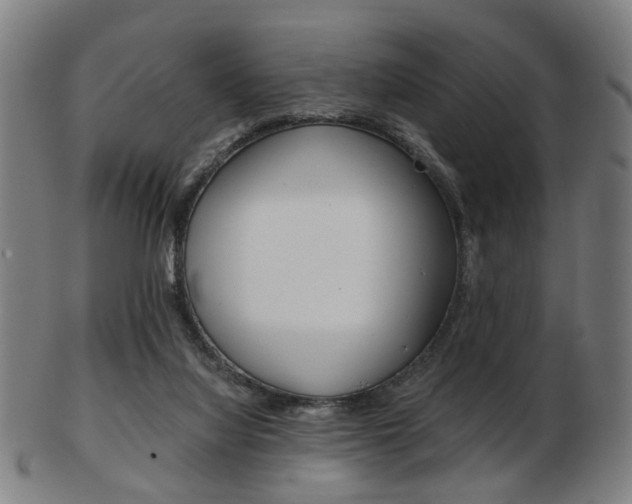X0000103480068200809120937