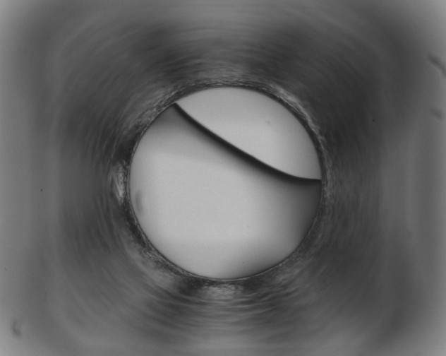 X0000103480069200809120937