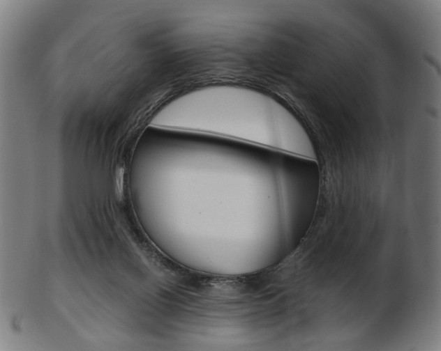 X0000103480070200809120937