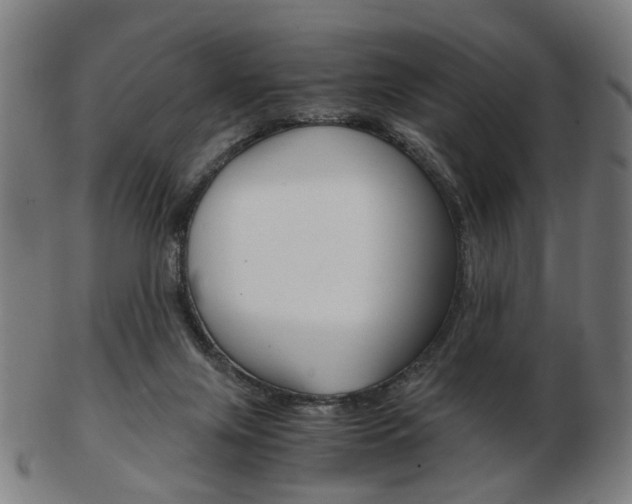 X0000103480071200809120937