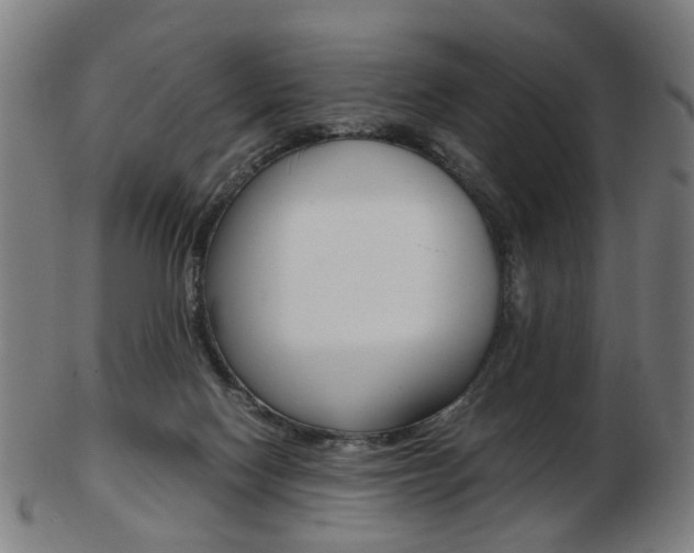 X0000103480074200809120937