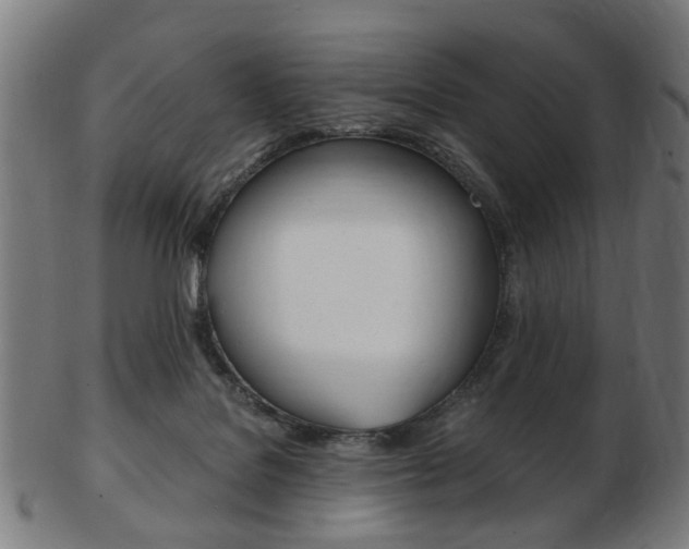 X0000103480076200809120937