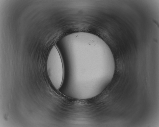 X0000103480077200809120937
