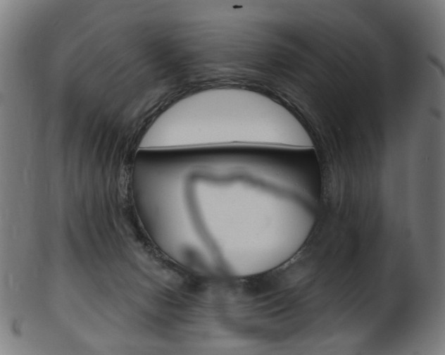 X0000103480078200809120937