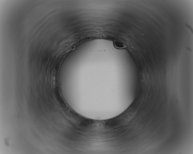 X0000103480080200809120938