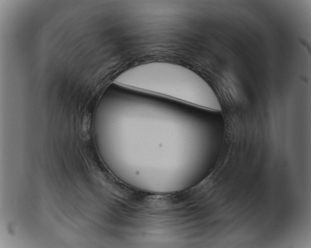 X0000103480082200809120938