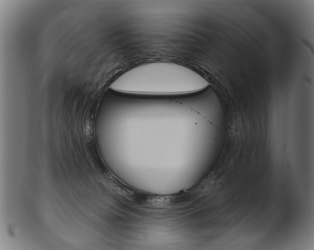 X0000103480084200809120938