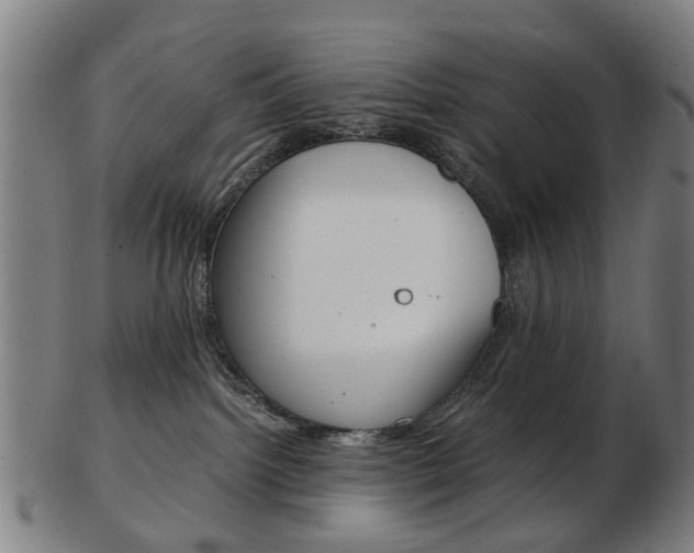 X0000103480092200809120938