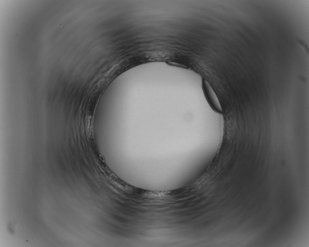 X0000103480093200809120938