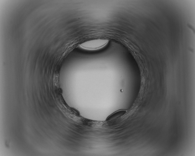X0000103480096200809120938