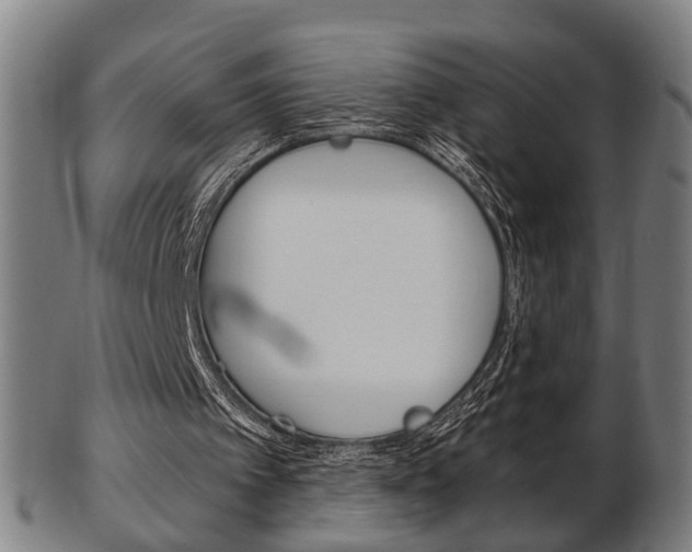 X0000103480097200809120937
