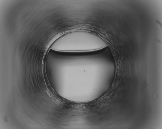 X0000103480100200809120937