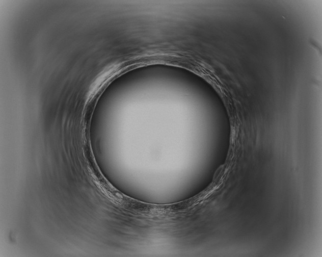 X0000103480101200809120937