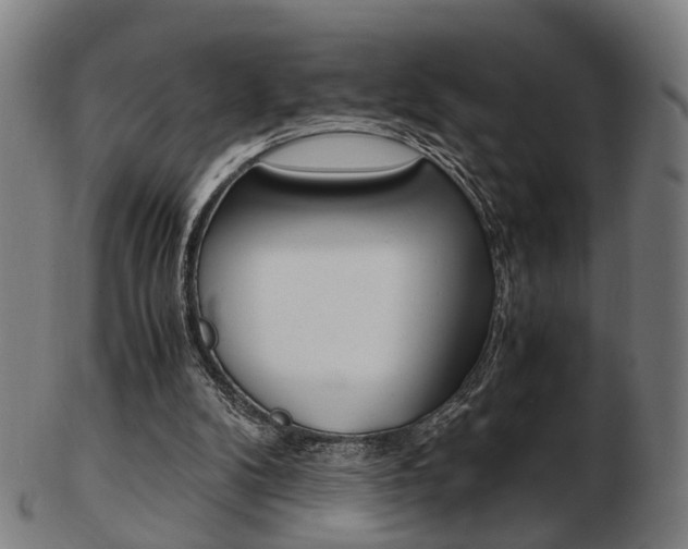 X0000103480104200809120937