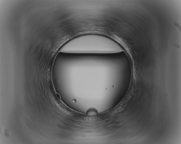 X0000103480105200809120937