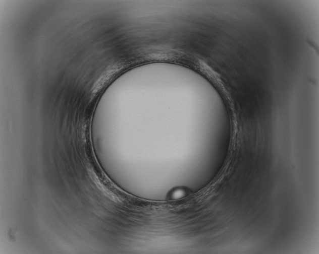 X0000103480106200809120937