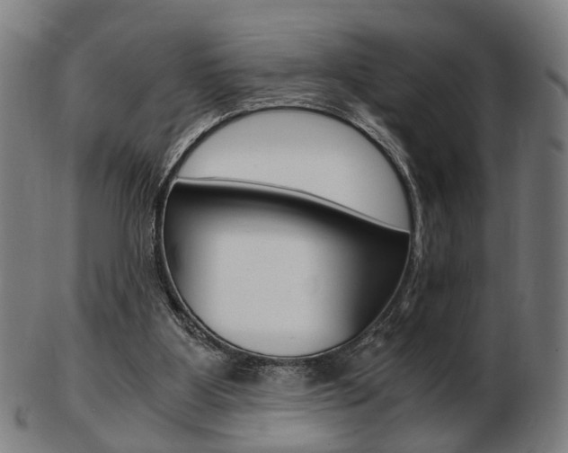 X0000103480107200809120937