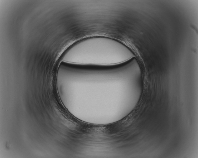 X0000103480108200809120937