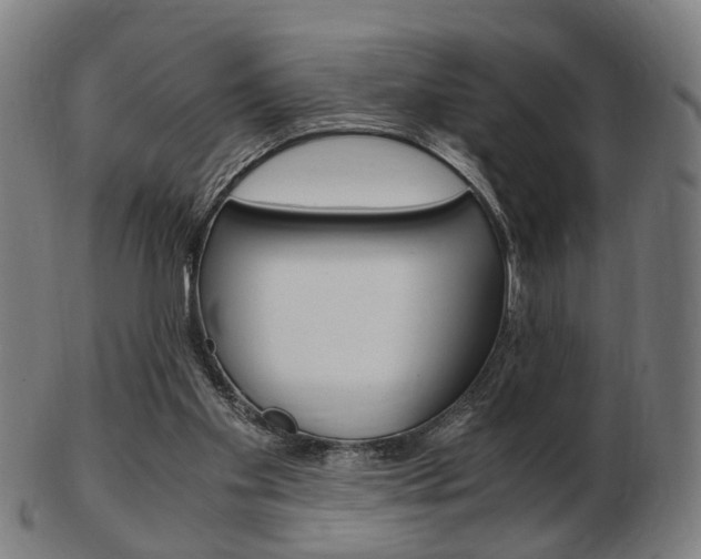 X0000103480109200809120937