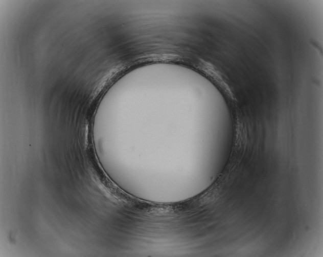X0000103480110200809120937