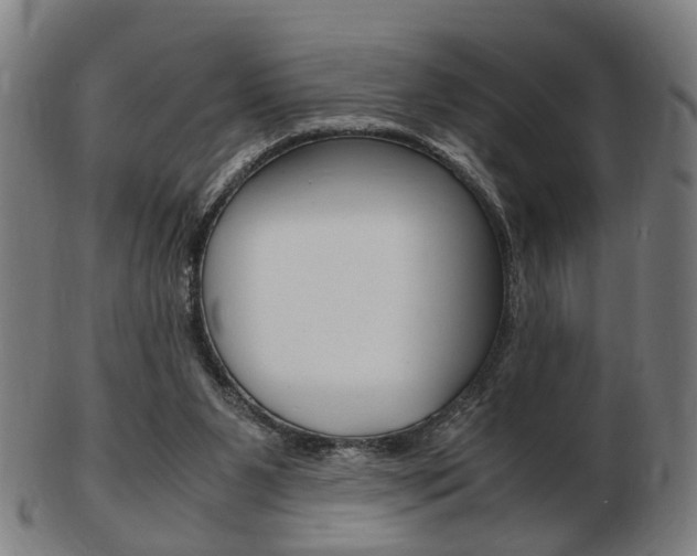 X0000103480111200809120937