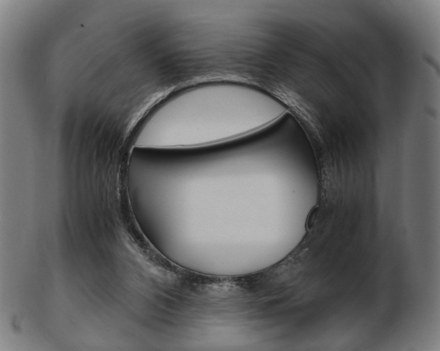 X0000103480112200809120937
