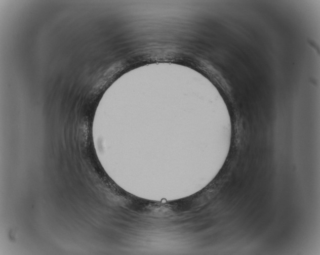 X0000103480113200809120937