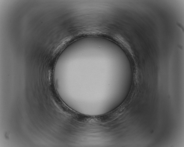 X0000103480115200809120937