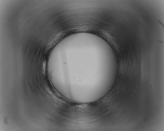X0000103480118200809120937