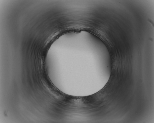 X0000103480120200809120937