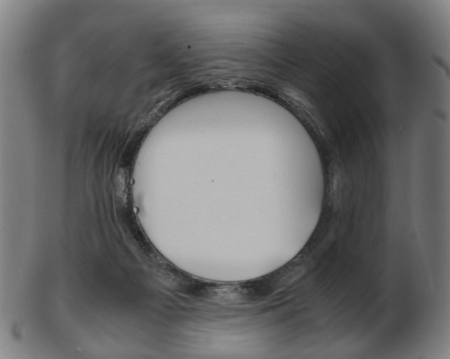 X0000103480121200809120937