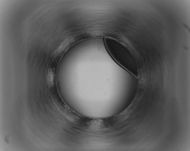 X0000103480124200809120937