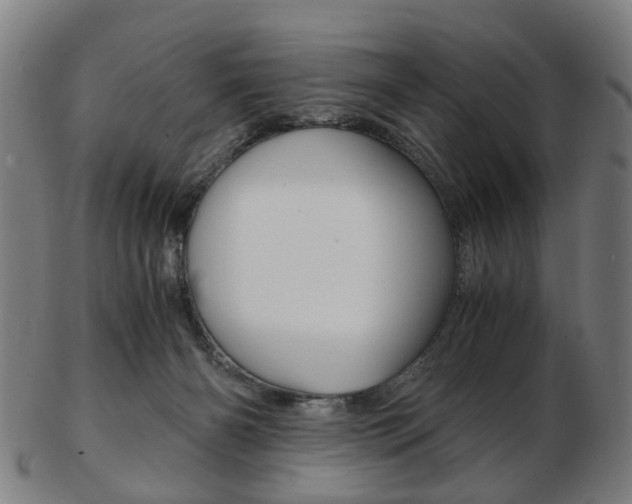 X0000103480126200809120936
