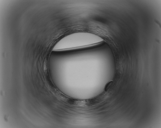 X0000103480131200809120936