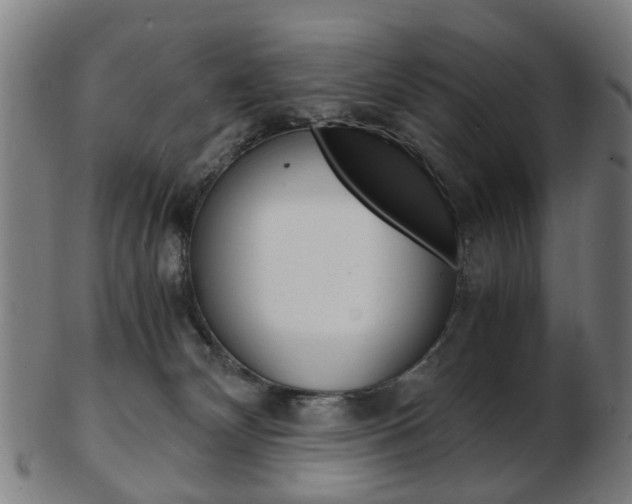 X0000103480132200809120936