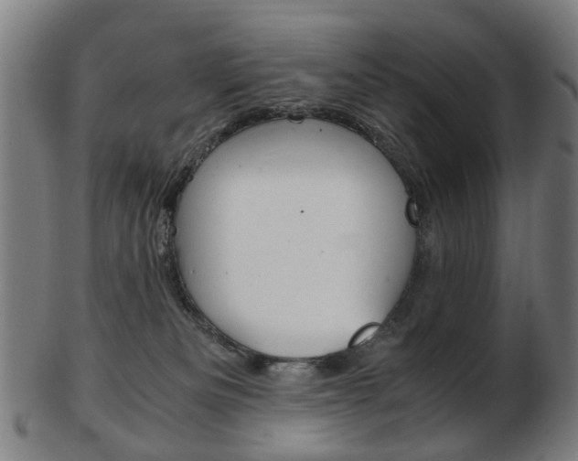 X0000103480133200809120936
