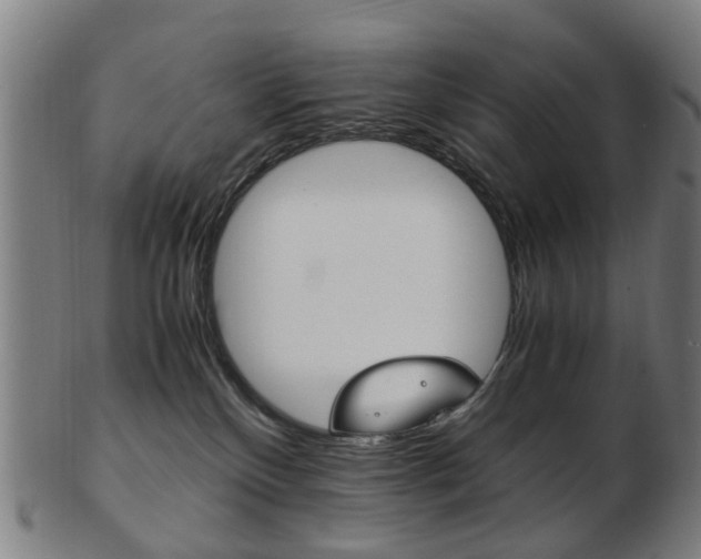 X0000103480136200809120936