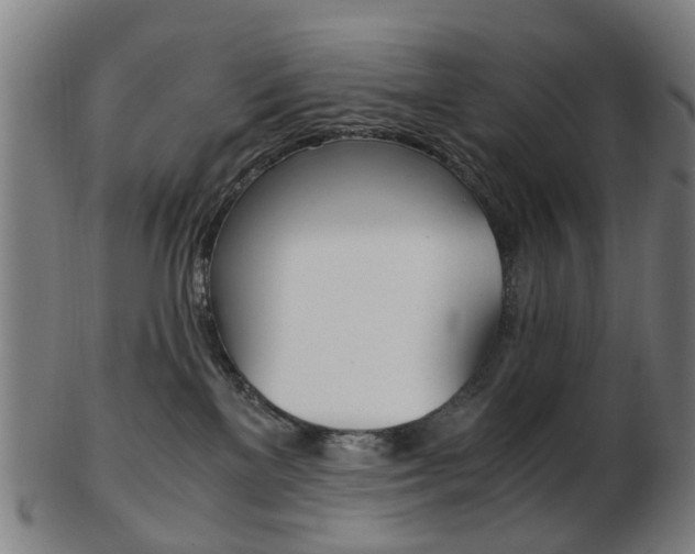 X0000103480137200809120936