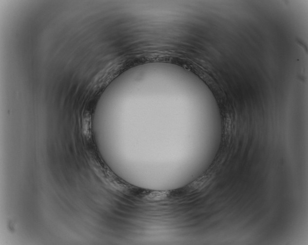 X0000103480138200809120936